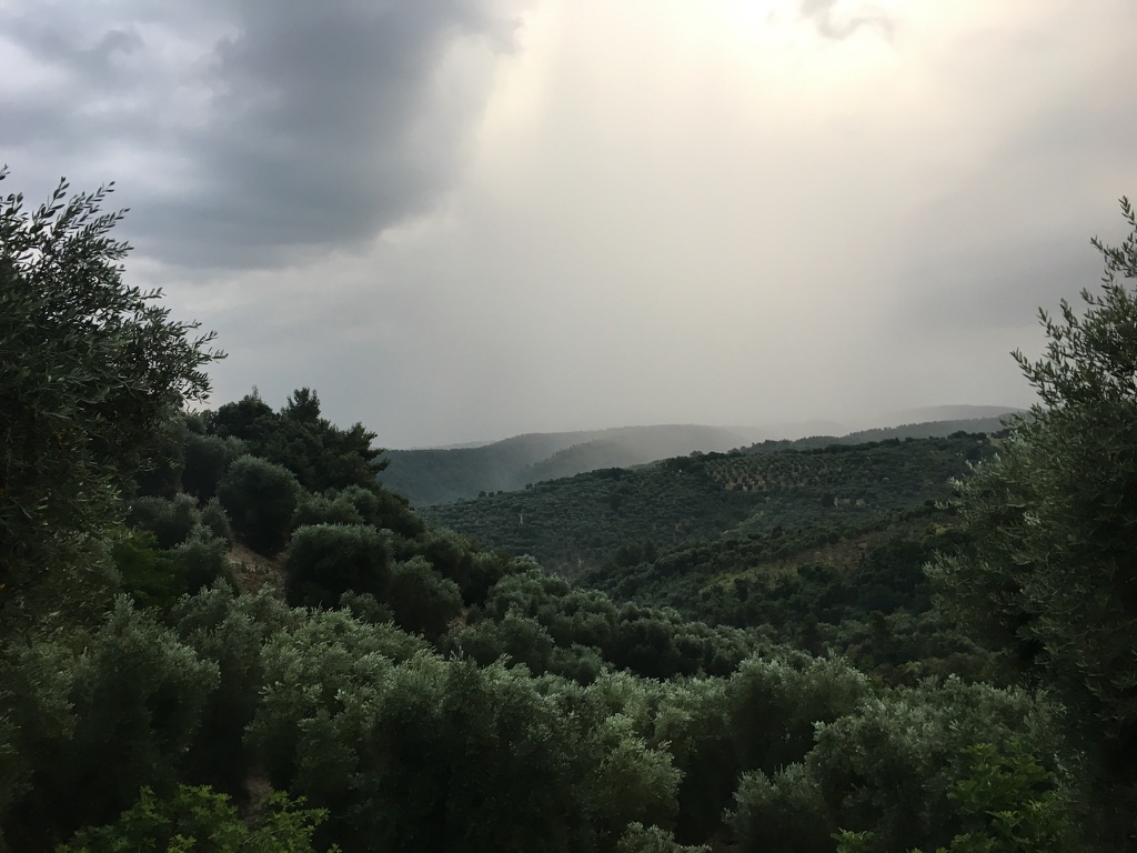 Rain moving across the olive-covered Gargano hills