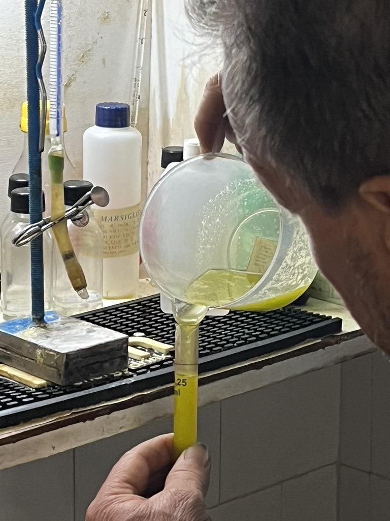 Checking the freshly pressed olive oil